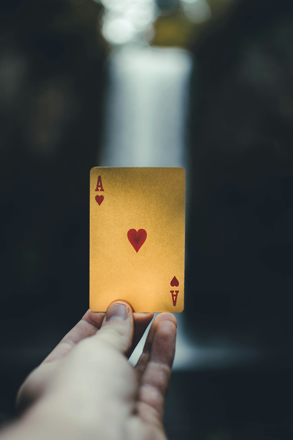 person holding ace of heart playing card