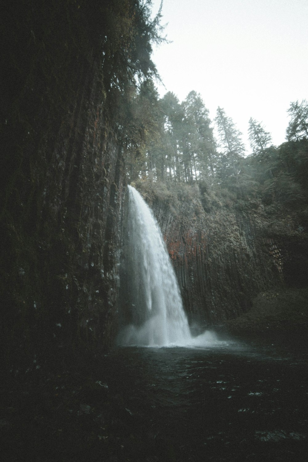 waterfalls surround by trees under white sky