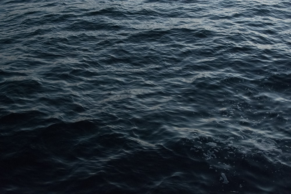 Vista a volo d'uccello dello specchio d'acqua