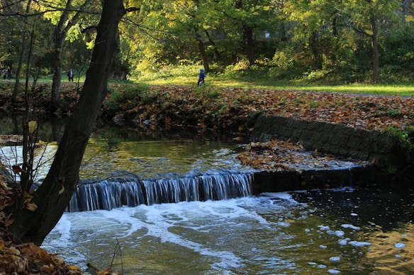 A serene scene of a small waterfall in a forested area. The gentle flow over rocks creates a soothing sound in the peaceful environment. Sunlight filters through the trees, illuminating the vibrant green and yellow leaves. A few people are walking in the background, enjoying the natural setting.