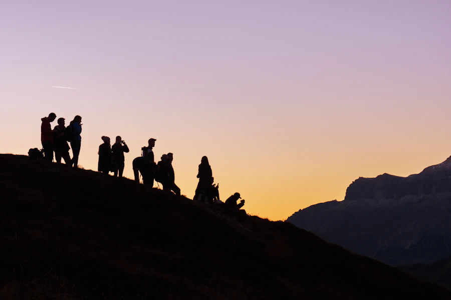 Group Tours