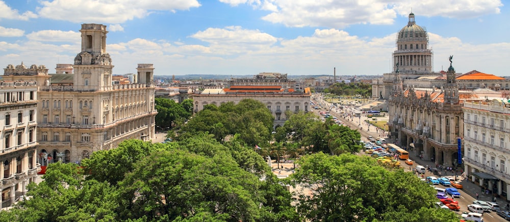 Fotografía aérea de árboles entre edificios de hormigón