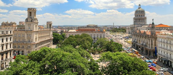 Aerial photography of trees in between concrete buildings — Havana, Cuba