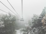 green trees covered with fogs during daytime