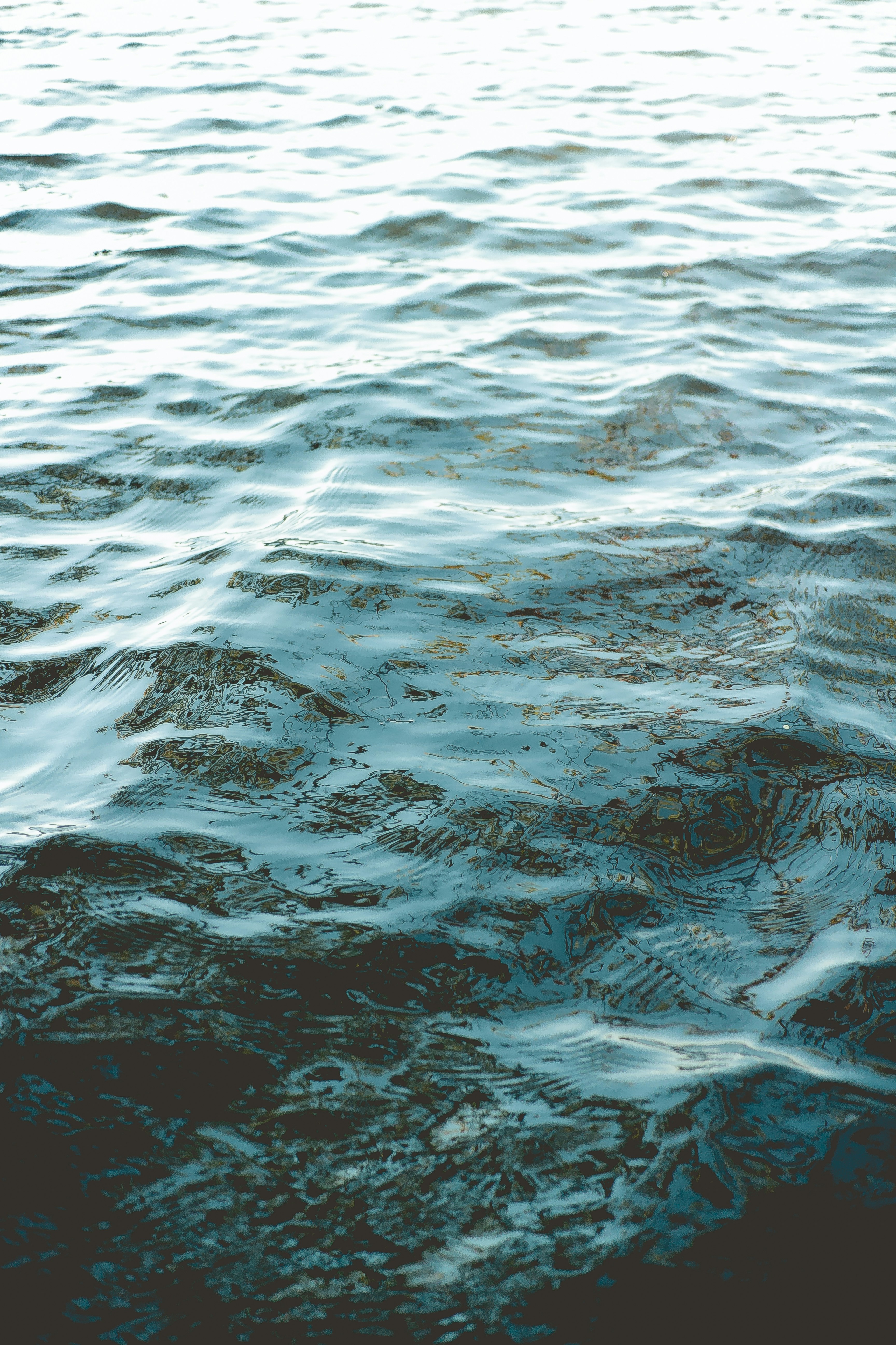 Photo by niklas_hamann