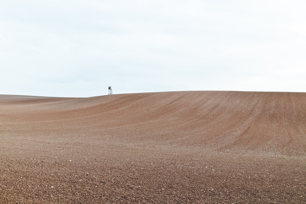 Selektive Fokusfotografie von Sand