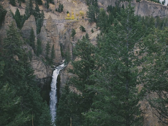 scenery of waterfall and forest in Yellowstone National Park United States