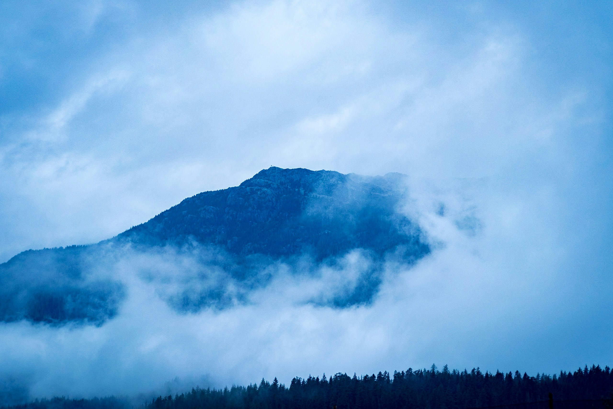 Photo by david_watkis