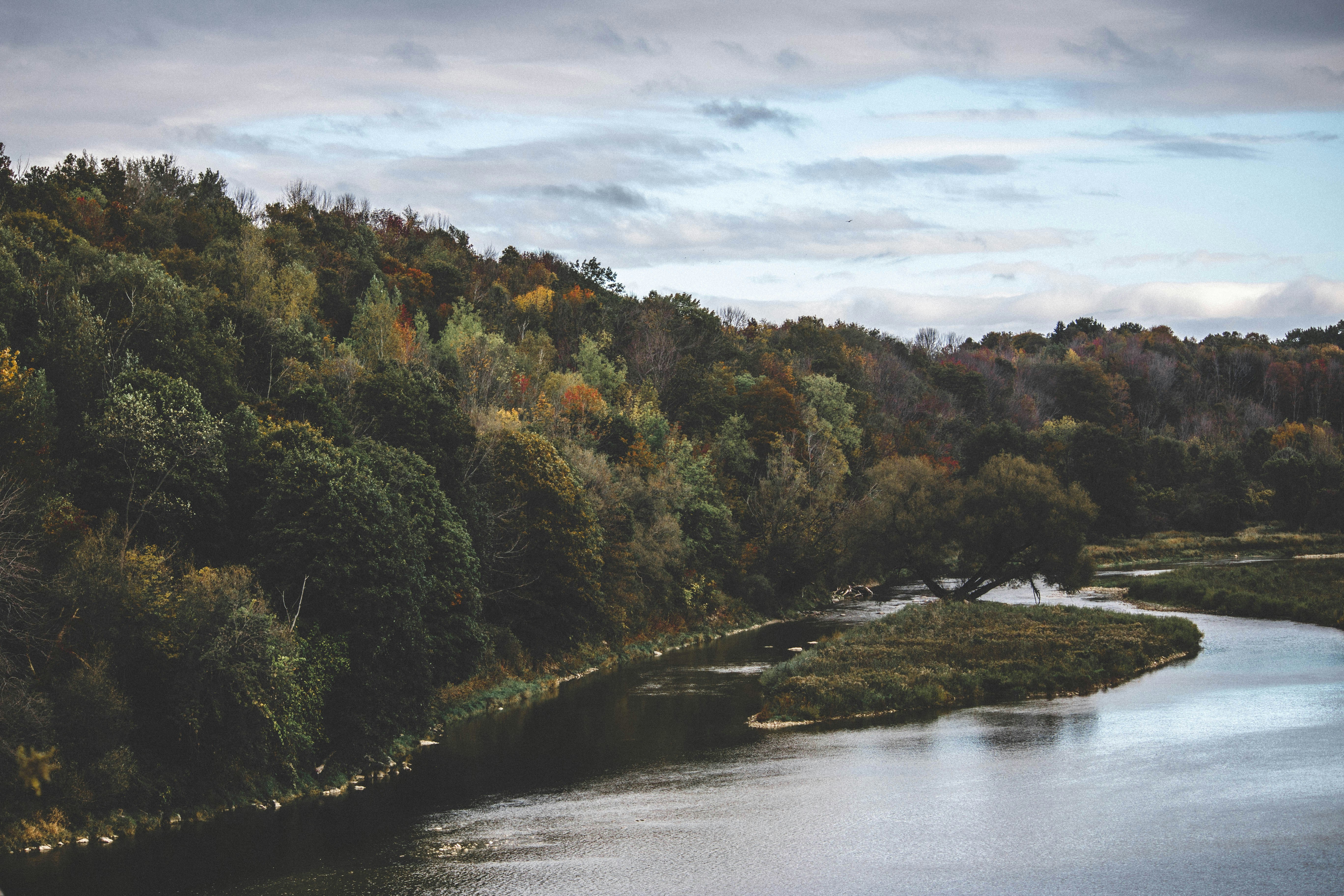 Photo by son_of_media