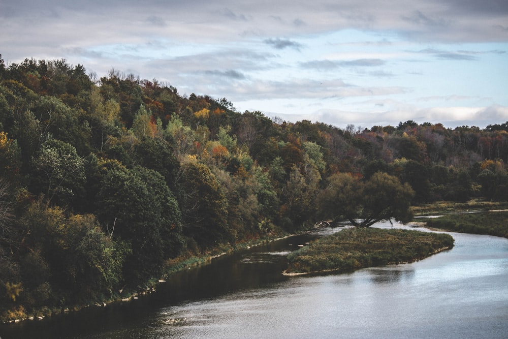 body of water beside forest under cloudy sky during daytime