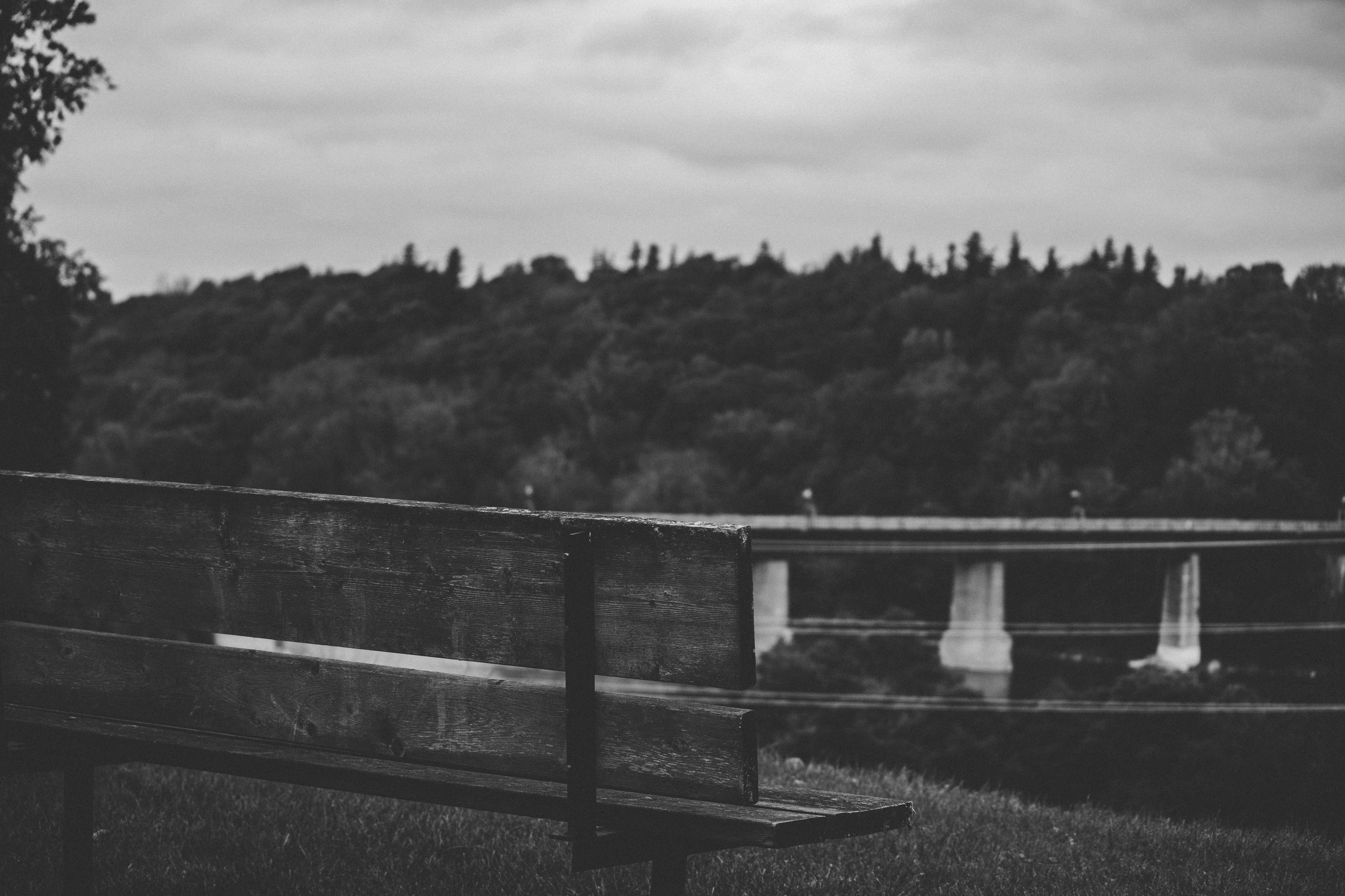 Photo by son_of_media