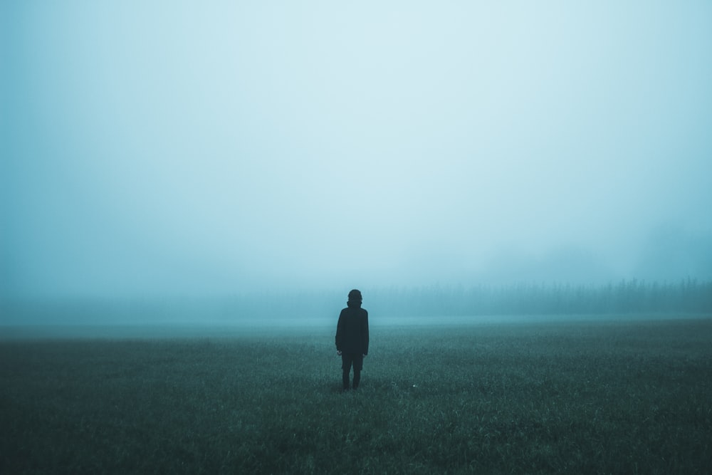 person standing on misty ground