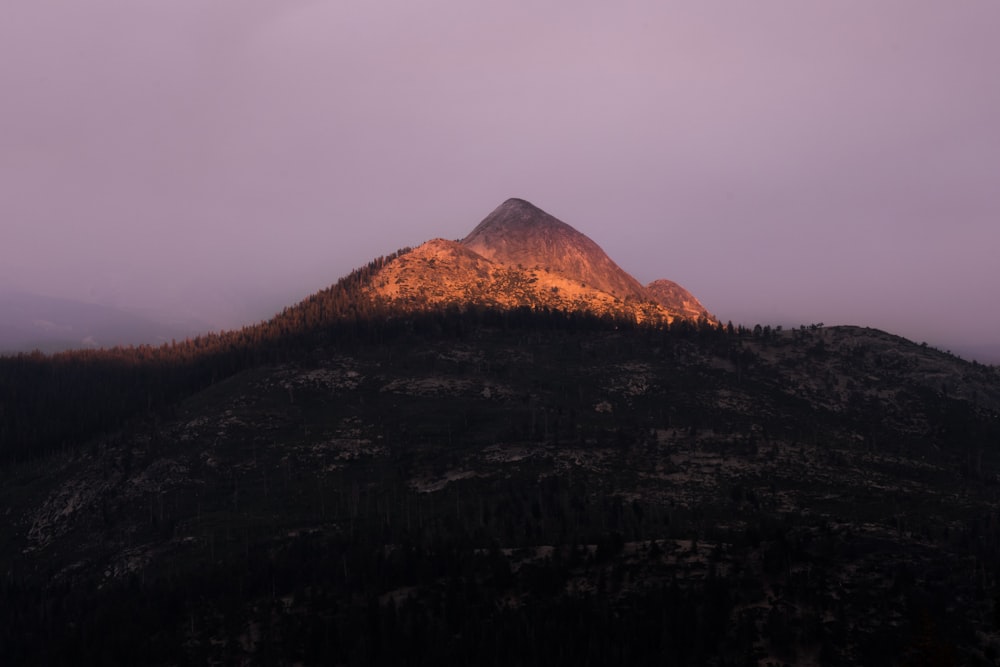 gray mountain alps