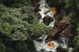 An overhead view of a river winding through a dense, lush forest. The river is turbulent and rocky, with rapids creating whitewater. Two yellow rafts can be seen navigating the river, each carrying multiple people who are actively paddling.