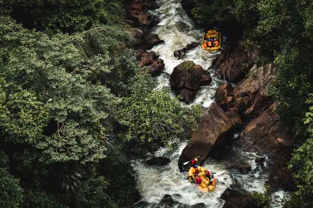 An overhead view of a river winding through a dense, lush forest. The river is turbulent and rocky, with rapids creating whitewater. Two yellow rafts can be seen navigating the river, each carrying multiple people who are actively paddling.