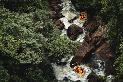 An overhead view of a river winding through a dense, lush forest. The river is turbulent and rocky, with rapids creating whitewater. Two yellow rafts can be seen navigating the river, each carrying multiple people who are actively paddling.