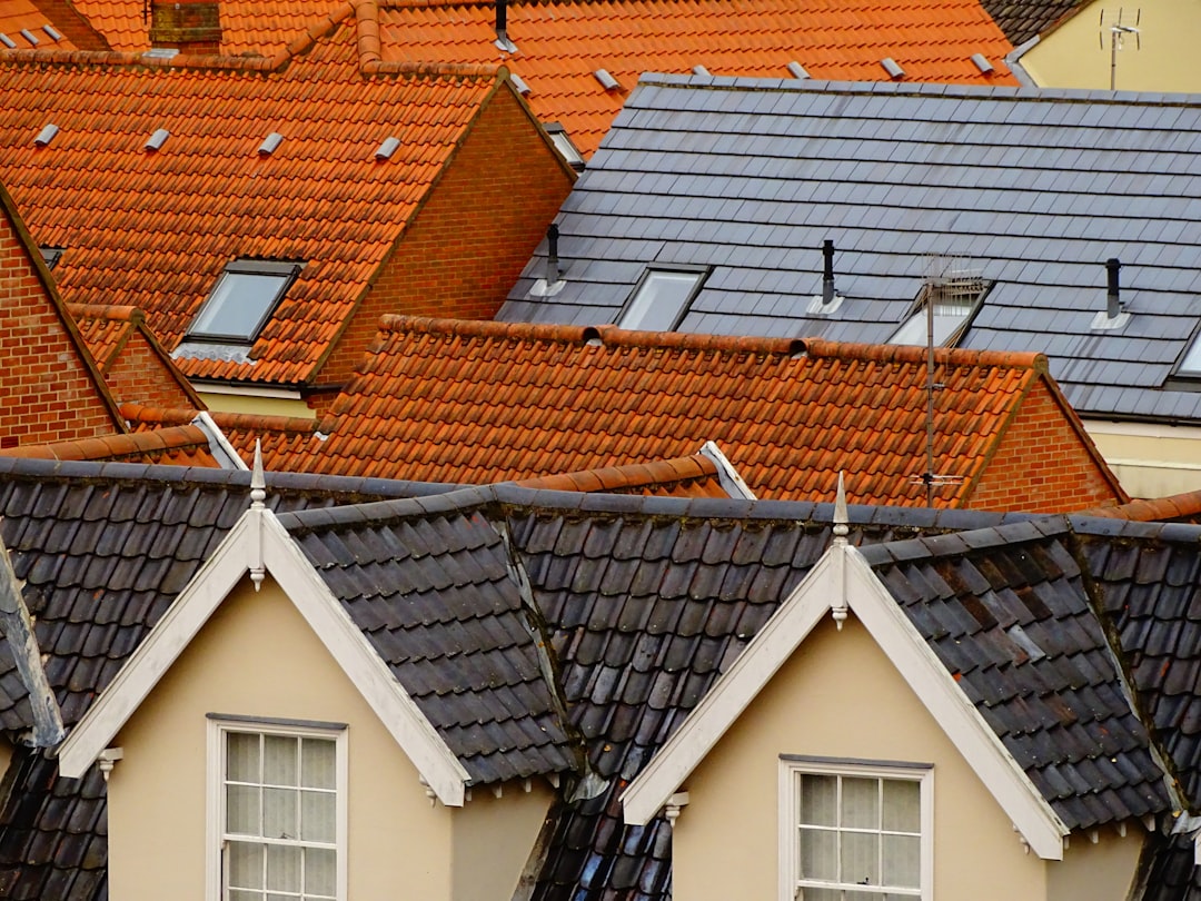  bird's eye view of assorted color roof tiles roof