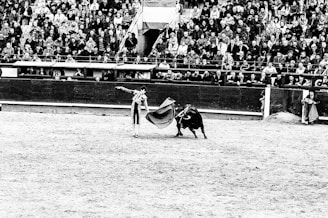 Photo of Bruno Aloi performing a bullfighting pass in a traditional arena with a captivated audience.