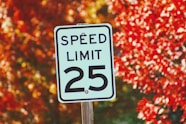 speed limit 25 sign