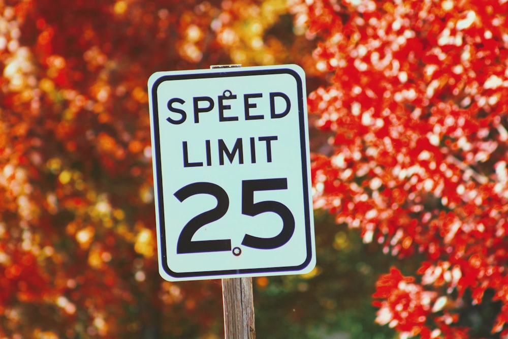 Señal de límite de velocidad 25