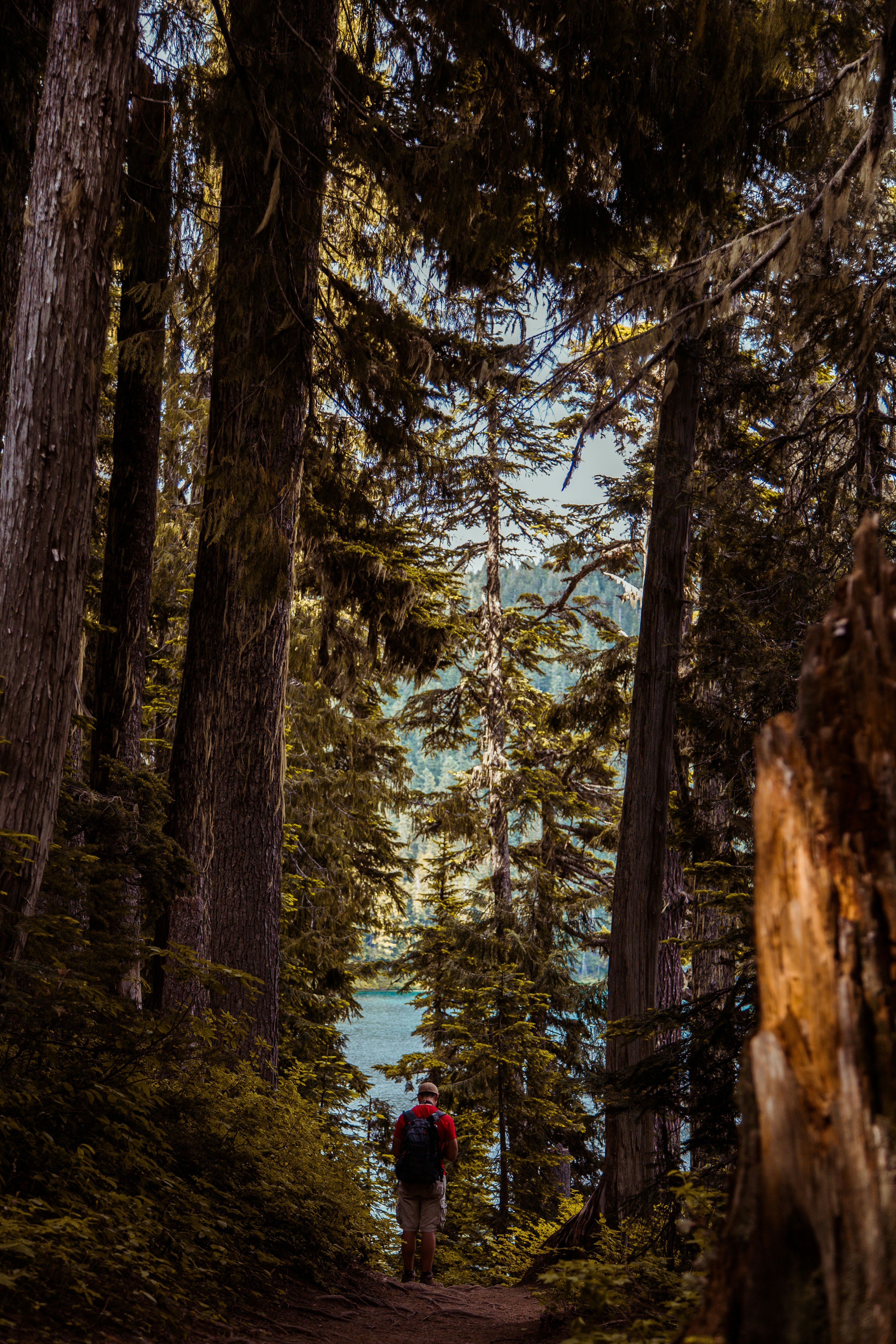 Photo by davidgaviphoto