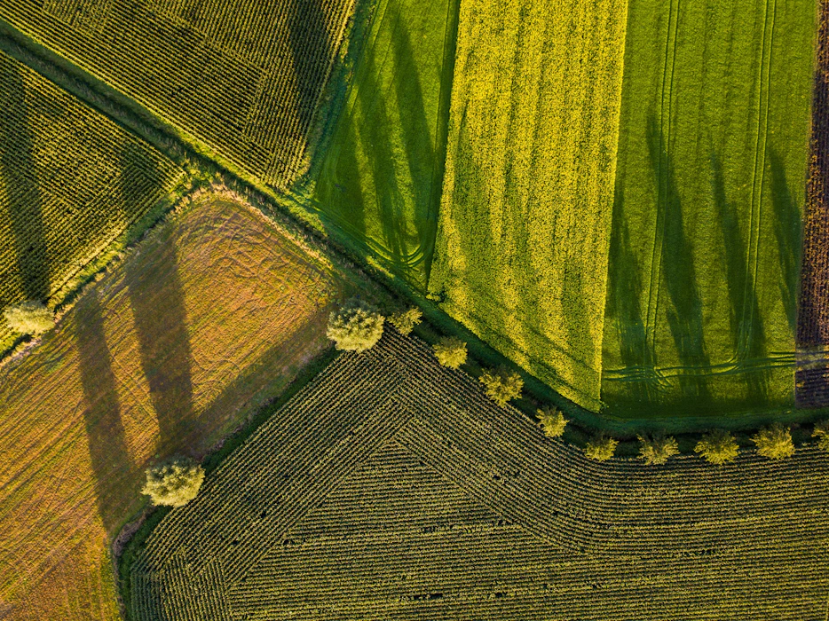 Agricultural landscape