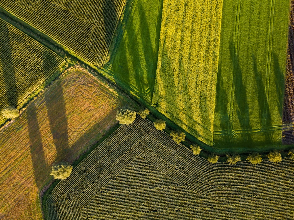 aerial photography of field