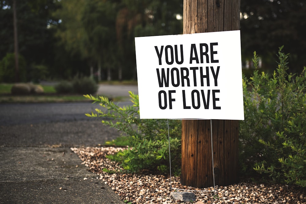 you are worthy of love sign beside tree and road