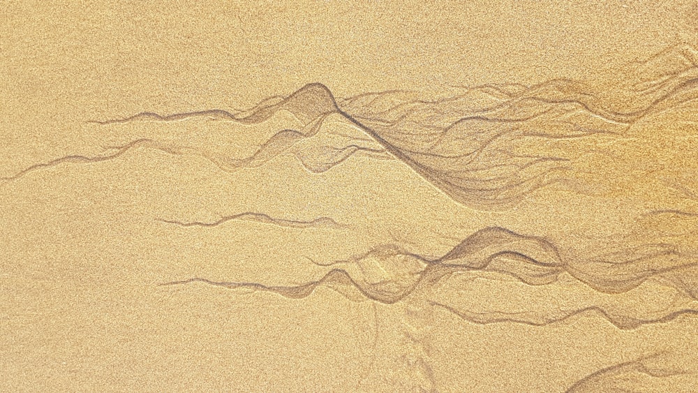 Eine Welle bahnt sich ihren Weg über den Sand