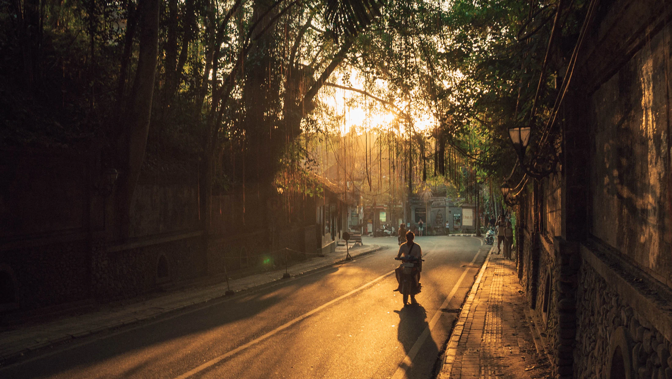 A scooter rider on a tree-lined Balinese lane in golden evening light