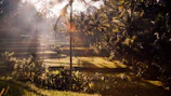 A serene scene of Bali’s lush rice terraces with a golden sunrise peeking through palm trees.