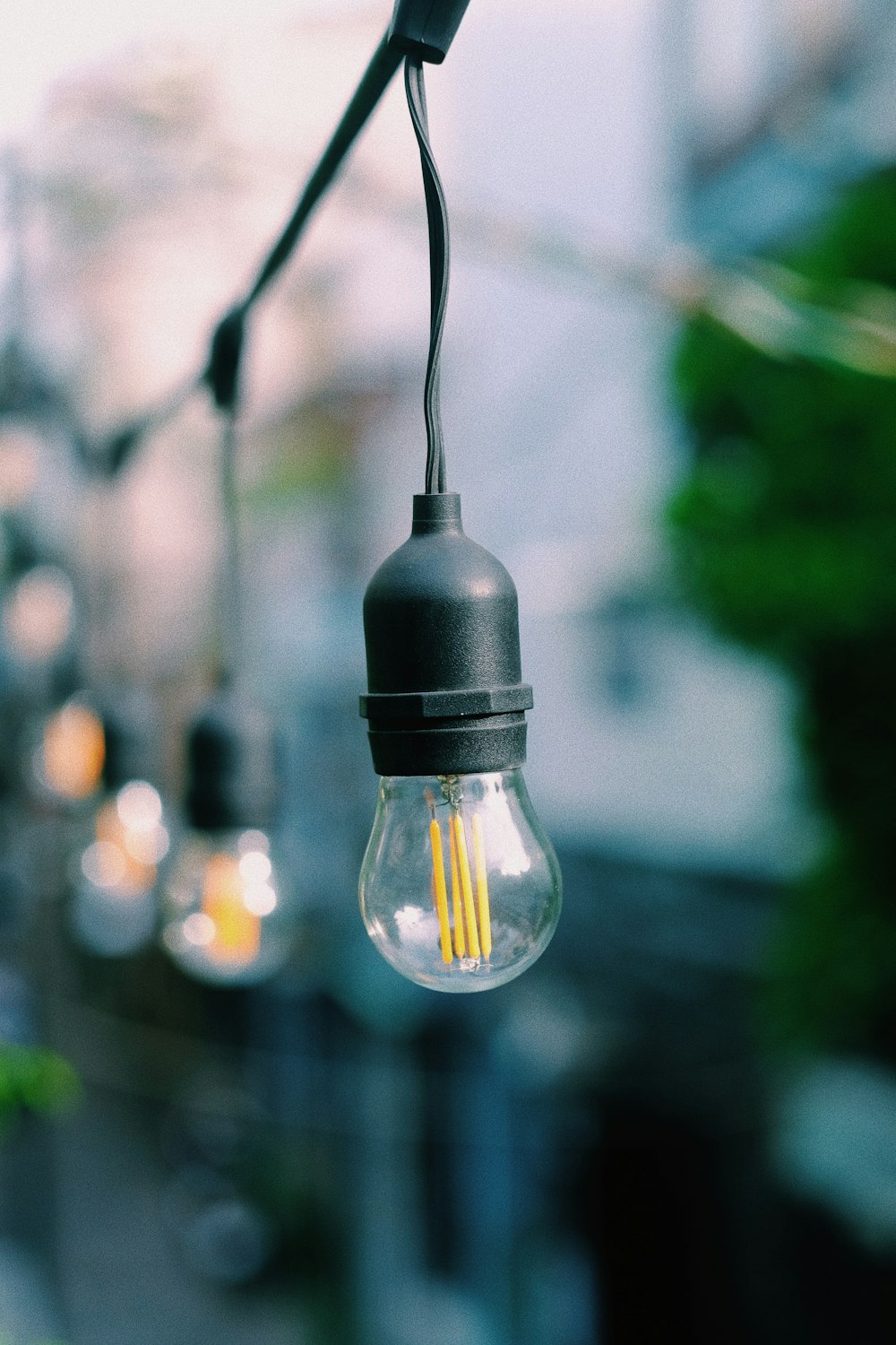 selective focus photography of clear string light