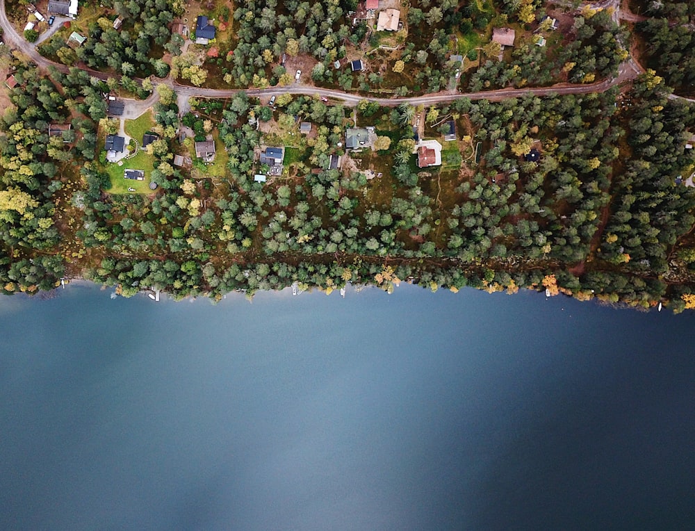 aerial photo of a city