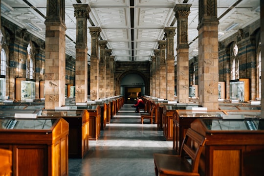 person inside room with chairs and desks in Natural History Museum United Kingdom