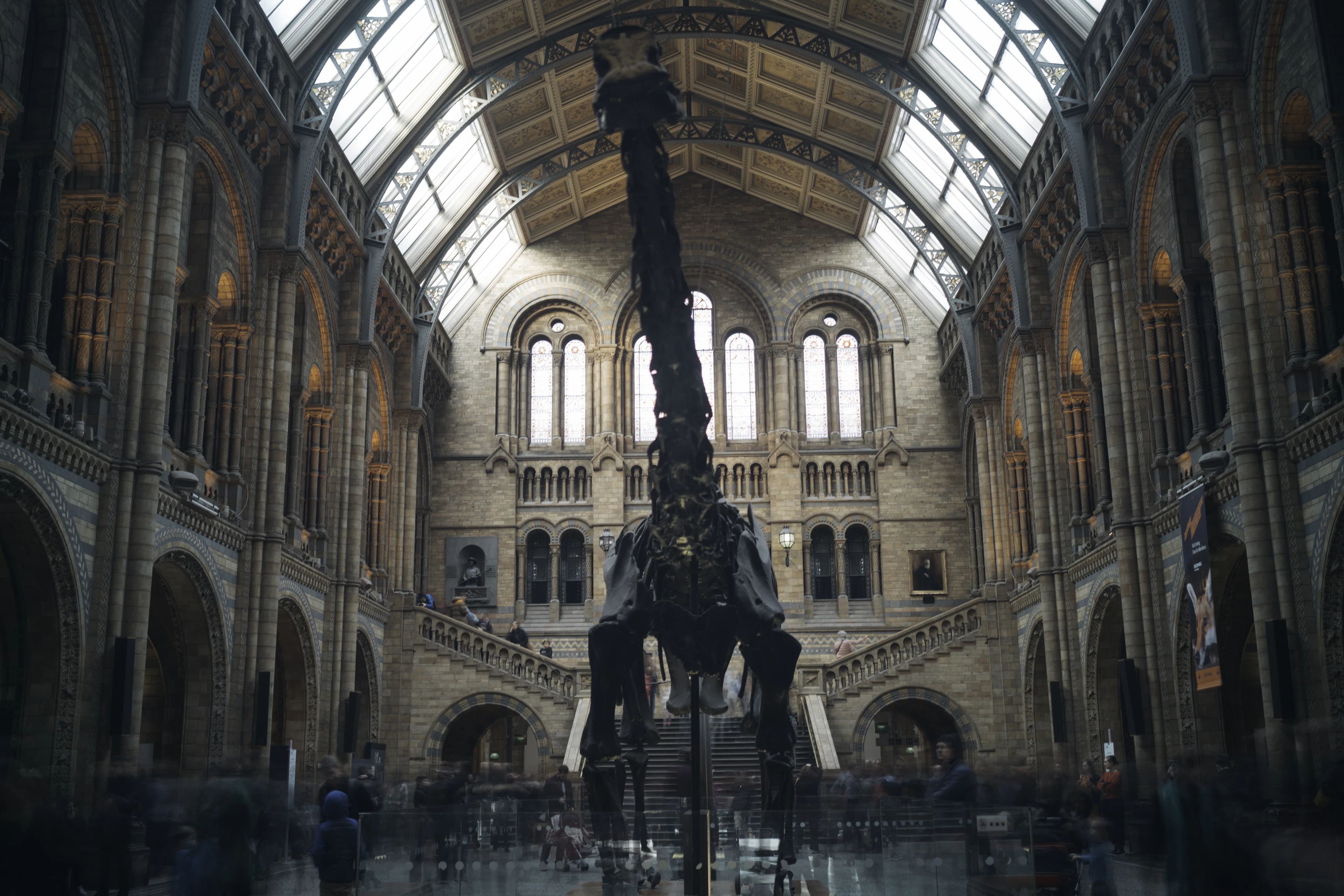 Natural History Museum, Kensington, London