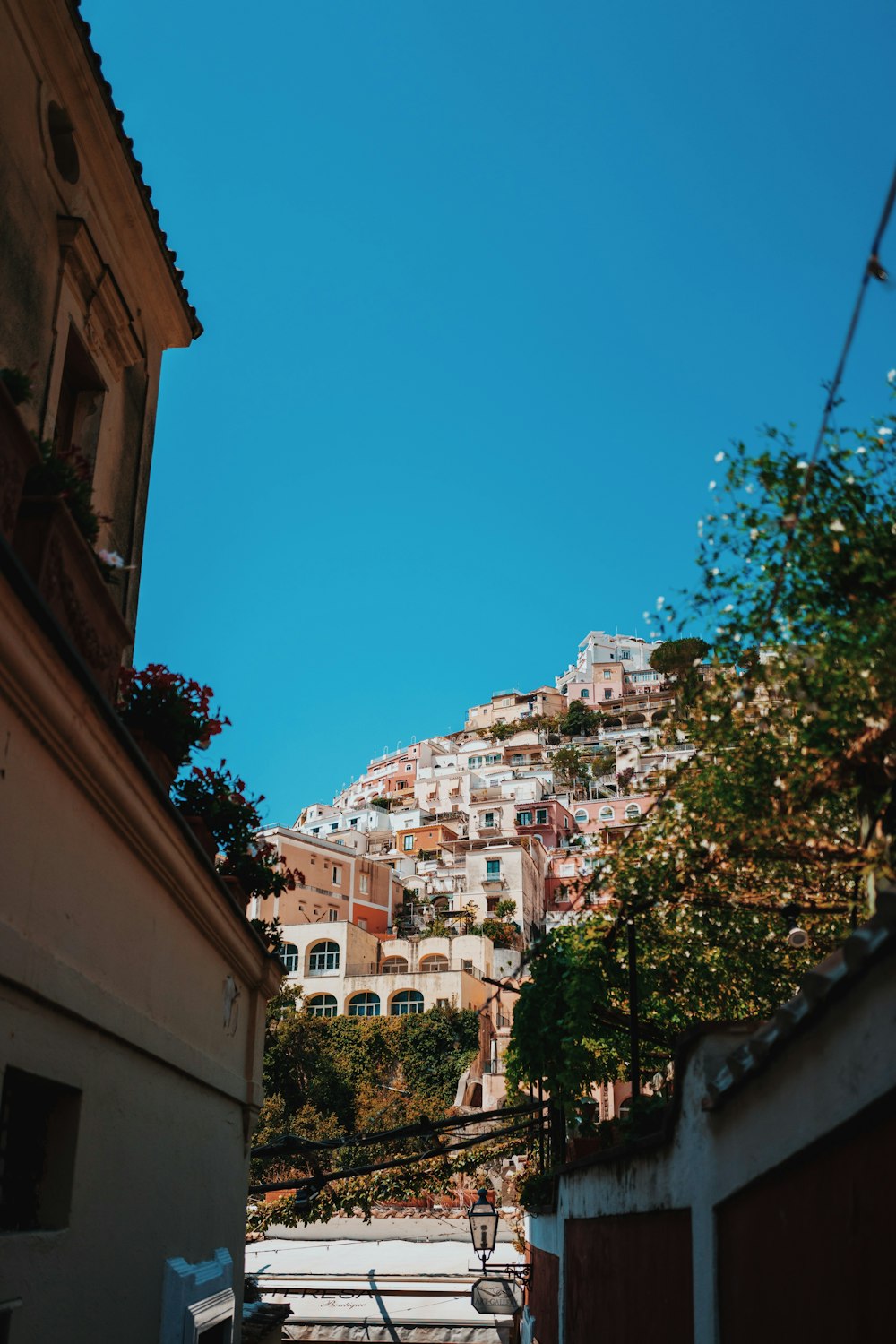 worms eye view of houses during daytime