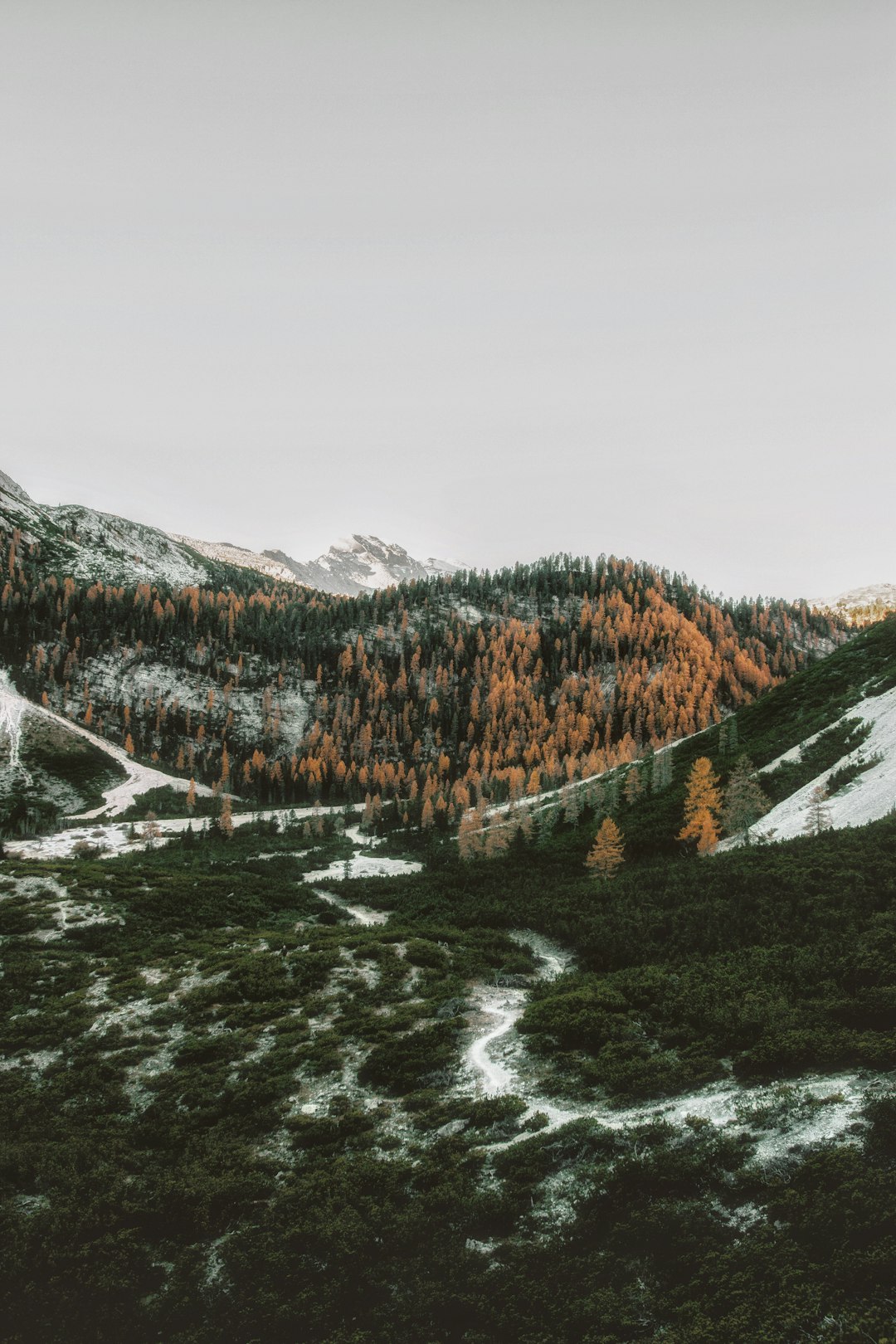 Hill photo spot Naturpark Fanes-Sennes-Prags Zillertal Alps