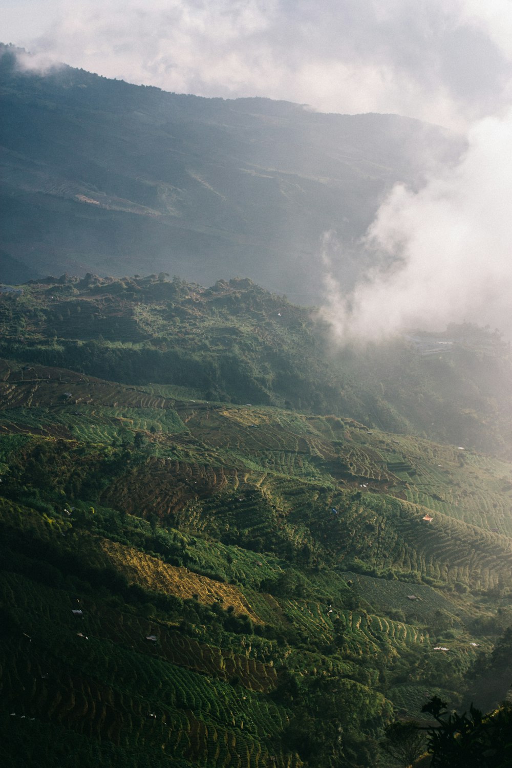 photographie de paysage de montagne