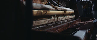 Close-up of a piano technician adjusting piano strings inside a grand piano