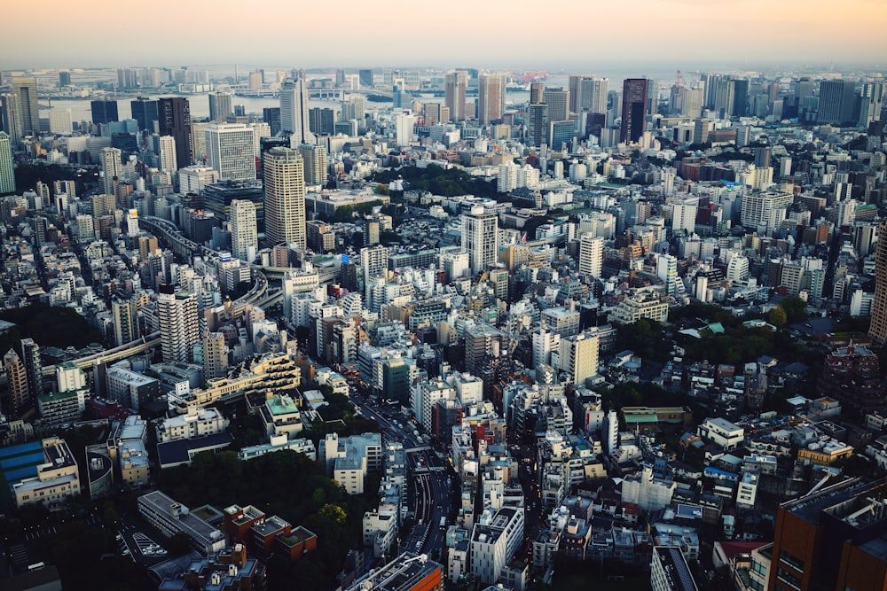 昼間の市街地の航空写真