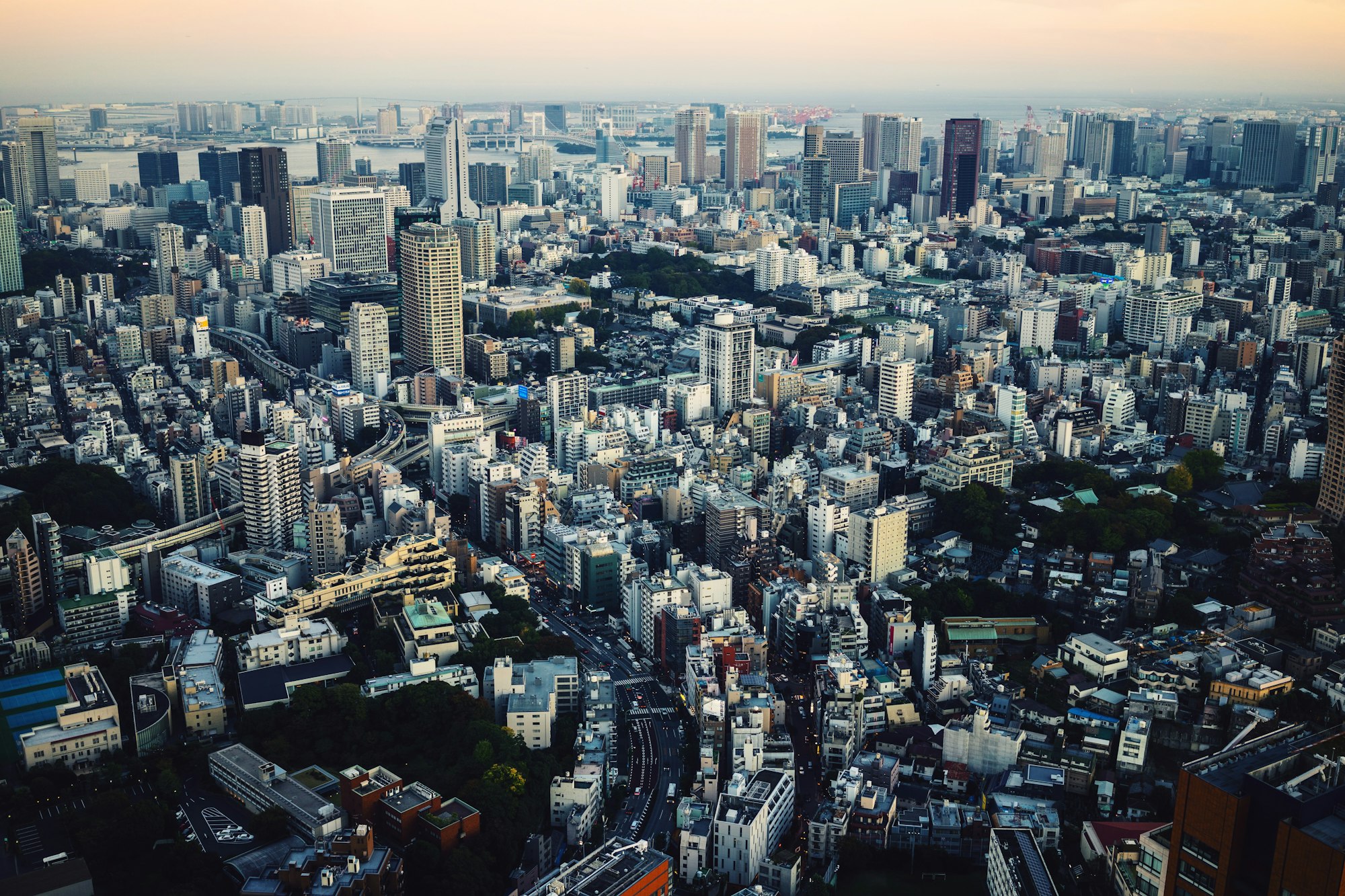 Navigating Tokyo's Climate: A Month-By-Month Weather Guide