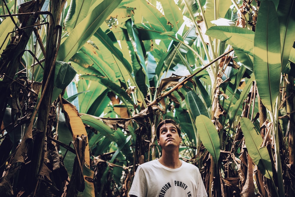 man standing between banana plant\