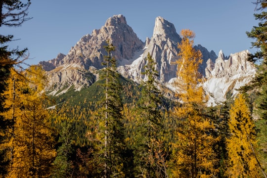 tall trees near gray rock formation under blue sky at daytime in Sorapiss Italy