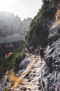 A winding mountain trail with a small group of professionals hiking together under soft sunlight.