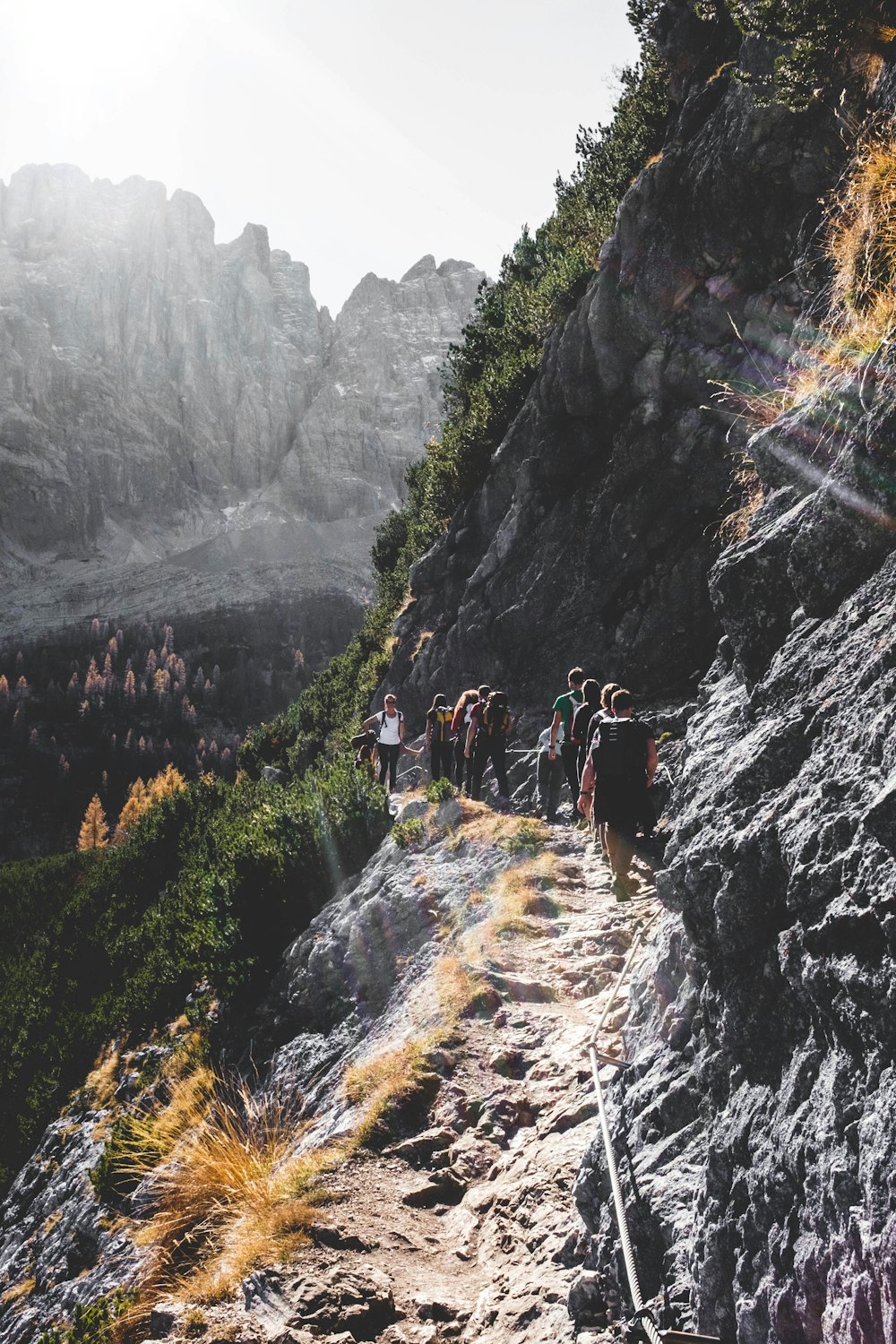 people walking on mountain road near trees