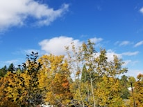 A scenic view of Antietam battlefield with autumn colors under a bright sky.