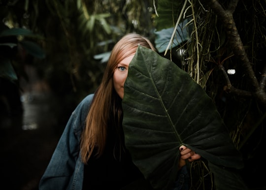 woman standing while covering her face with taro leaf in Munich Germany