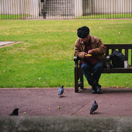 An elderly person wearing a black beret and brown jacket sits on a park bench with a backpack beside them. They are feeding a slice of bread to the pigeons gathered on the ground. The setting is a grassy area enclosed by a metal fence in the background.