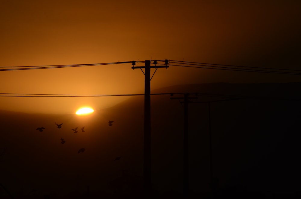 silhouette of electric post