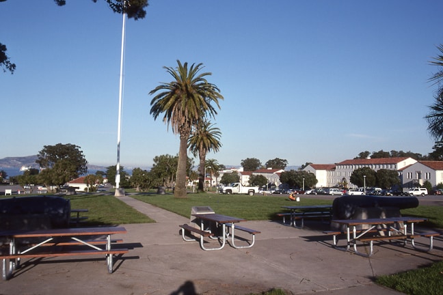 A park setting with picnic tables and benches on a paved area surrounded by green grass. Tall palm trees stand prominently against a clear blue sky. In the background, there are buildings with white walls and red roofs, and a parking lot with several vehicles. Distant hills and a glimpse of water can be seen in the far distance.